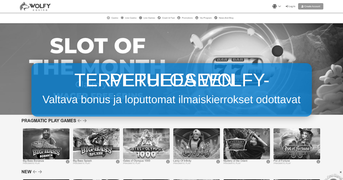 Wolfy Casino Suomi